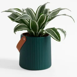 Doniczka z uchwytem zielona 15 cm
