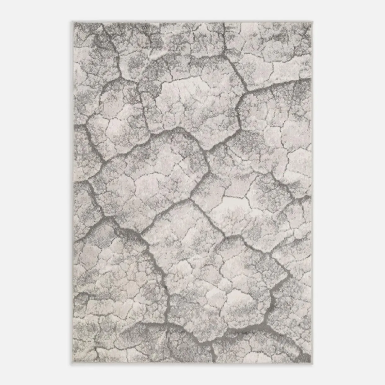 Dywan kora drzewa szary MIRACLE 200x290 cm A1004