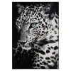 Dywan LAMPART 160x230 cm