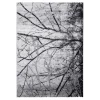 Dywan SPAZZIO SREBRNE DRZEWA 120x170 cm