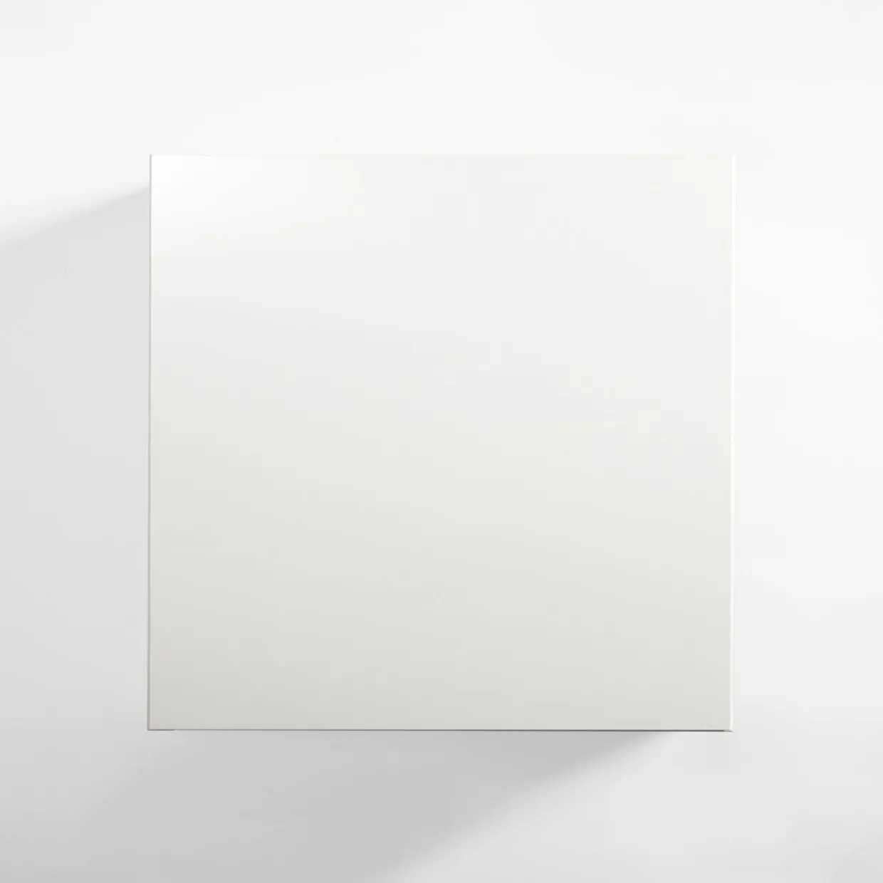 Front drzwi SALSA 60x59,6 biały połysk