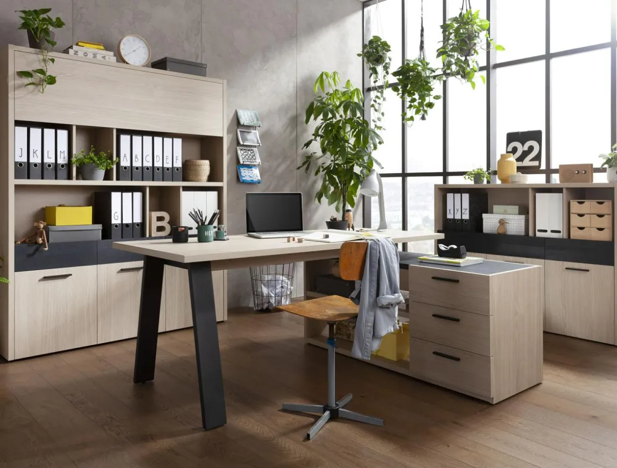 Komoda na książki do biura niska DAVINCI OFFICE