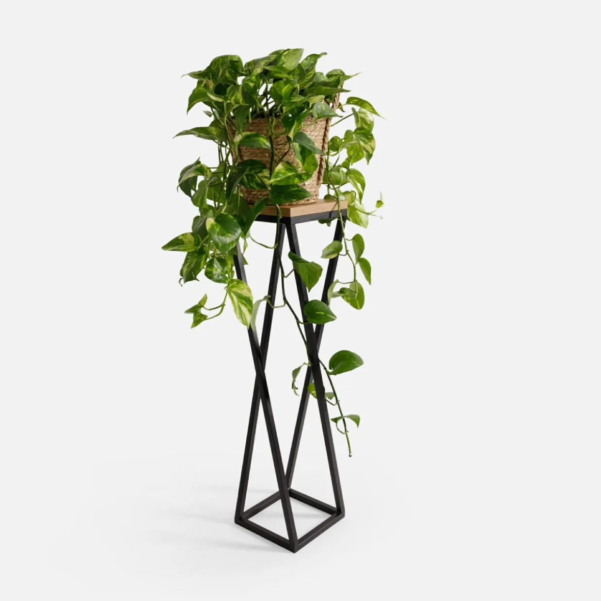 Kwietnik stalowy loftowy czarny dąb LESCAR M 77 cm