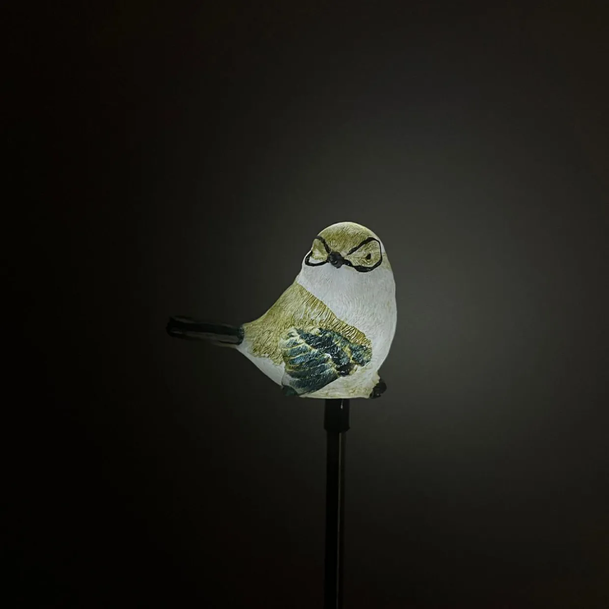 Lampa outdoorowa solarna LED IP44 kolorowy PTAK