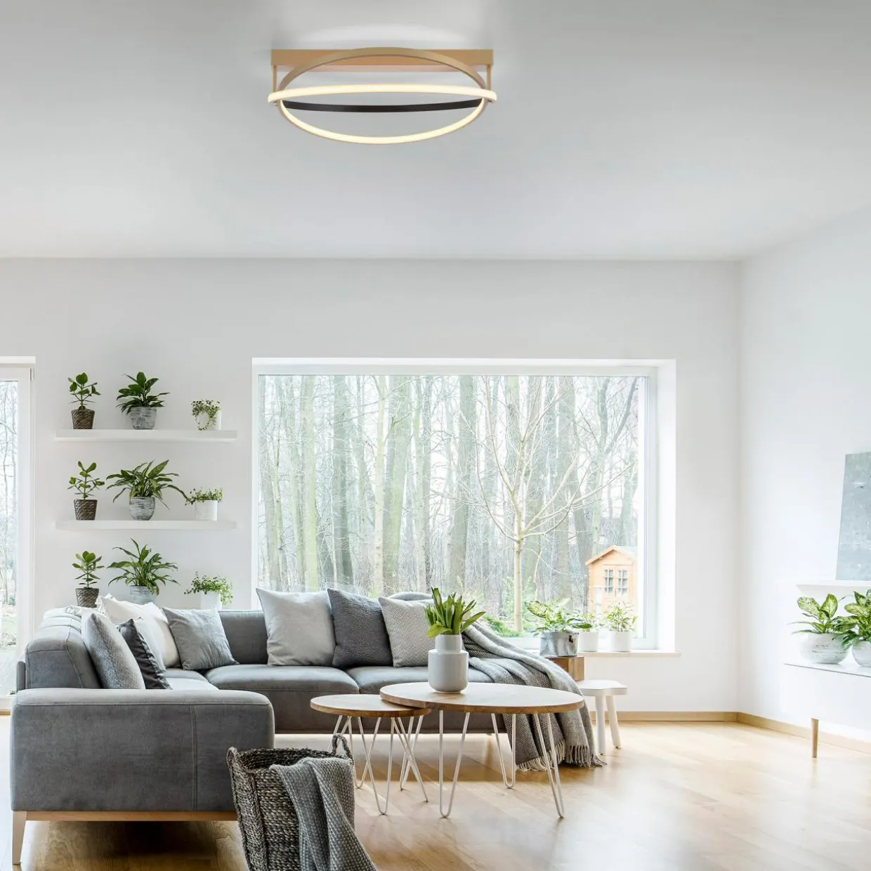Lampa sufitowa LED Wi-Fi czarno-złota Q-BELUGA z pilotem