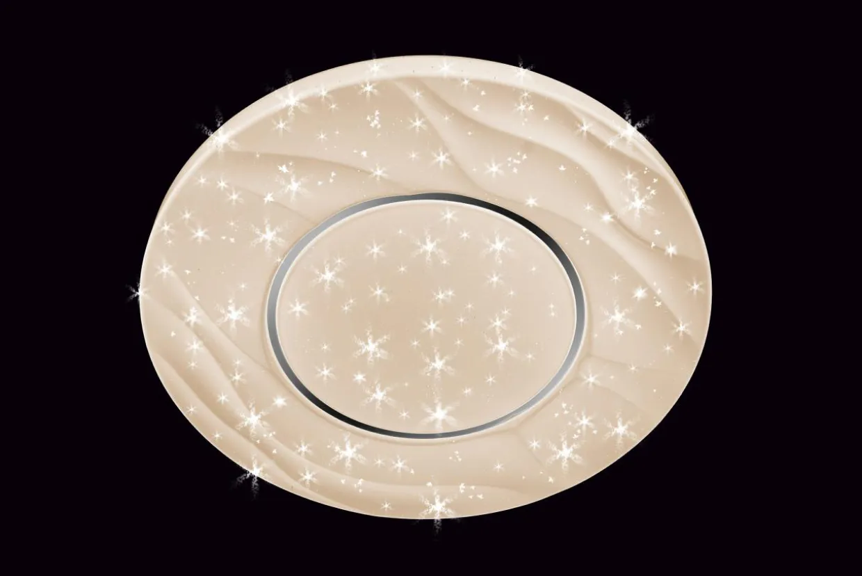 Lampa sufitowa /Plafon LED P-6066/500