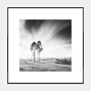 Obraz ARTBOX TREES 50x50 cm