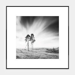 Obraz ARTBOX TREES 50x50 cm