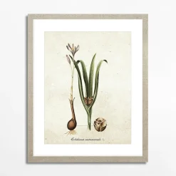 Obraz BOTANICAL PLANT I 21x30 cm