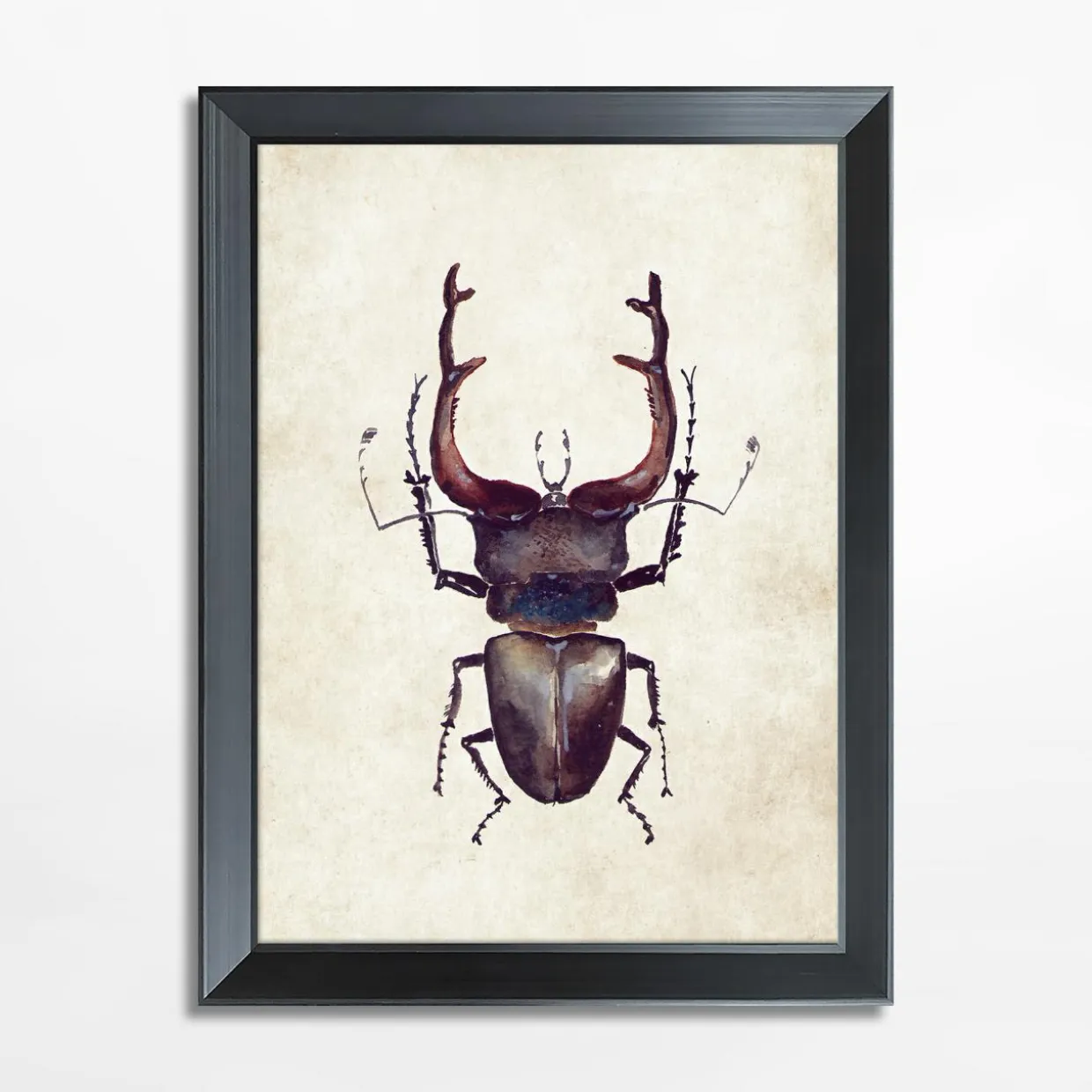 Obraz brązowy owad BEETLE 21x30 cm
