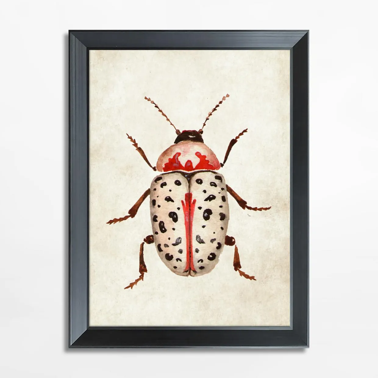 Obraz czerwony owad BEETLE 21x30 cm