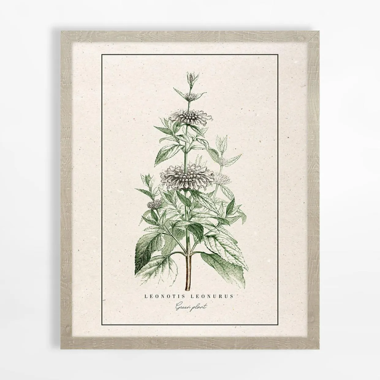 Obraz do sypialni BOTANIC PLANT I 40x50 cm