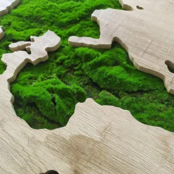 Obraz GREEN MAP 70x100 cm