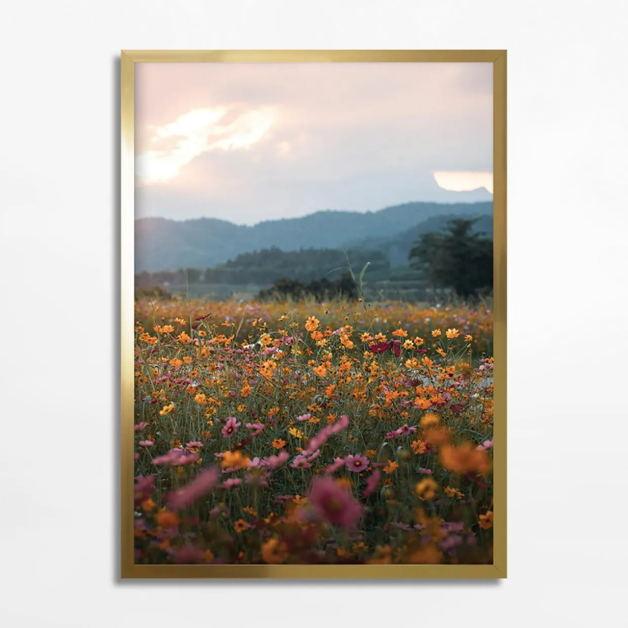 Obraz ŁĄKA PEŁNA KWIATÓW FLORES 50x70 cm