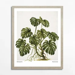 Obraz MONSTERA EGZOTIC PLANT 40x50 cm