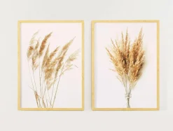 Obraz PAMPAS GRASS II 53x73 cm