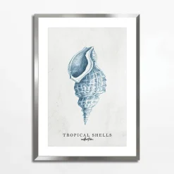 Obraz TROPICAL SHELLS I 50x70 cm