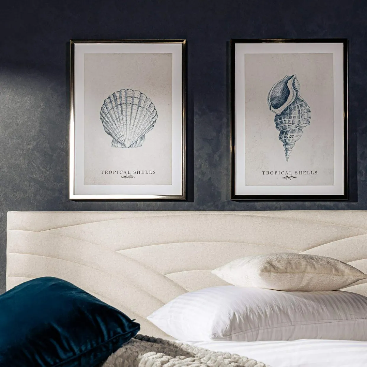 Obraz TROPICAL SHELLS I 50x70 cm