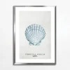 Obraz TROPICAL SHELLS II 50x70 cm