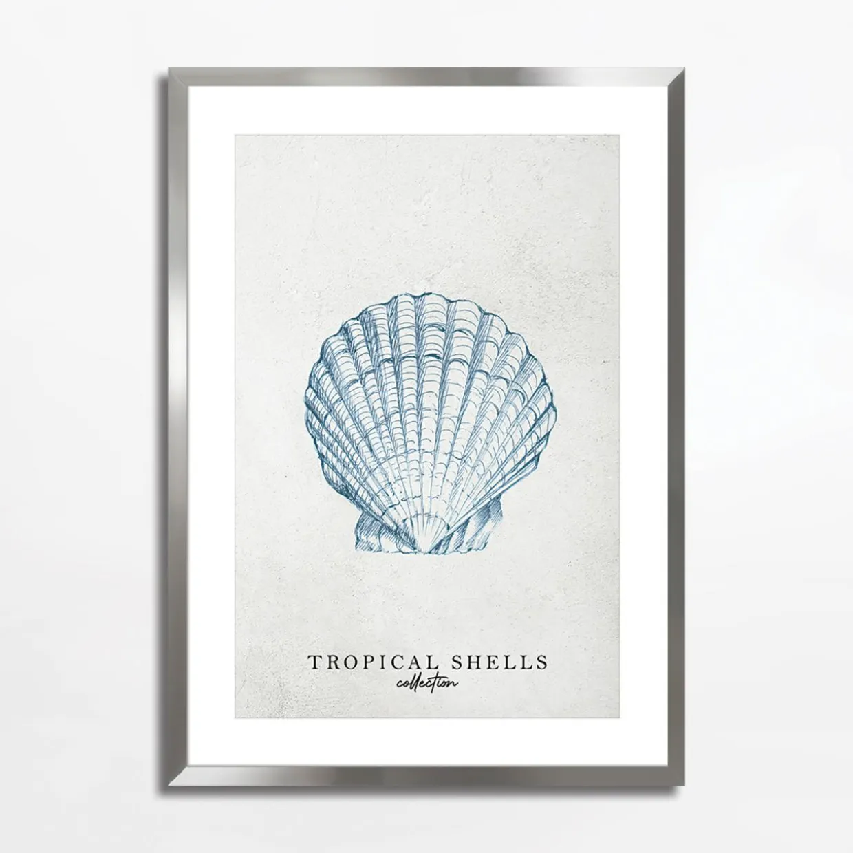 Obraz TROPICAL SHELLS II 50x70 cm