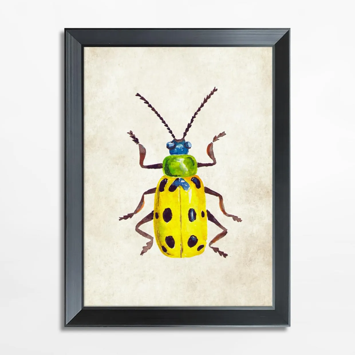 Obraz żółty owad BEETLE 21x30 cm