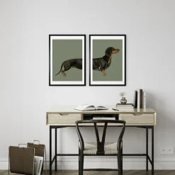 Obraz w czarnej ramie DASCHUND I 50x70 cm