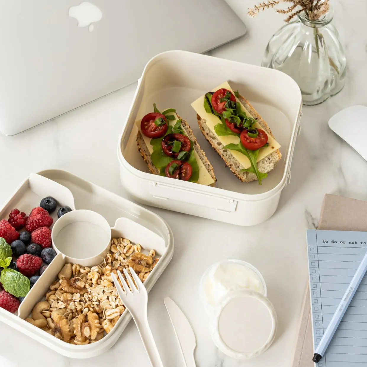 Pojemnik lunchbox z przegródkami zielony LIDO 1,6l