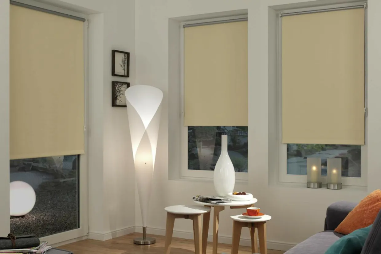 Roleta mini THERMO 80x150 cm
