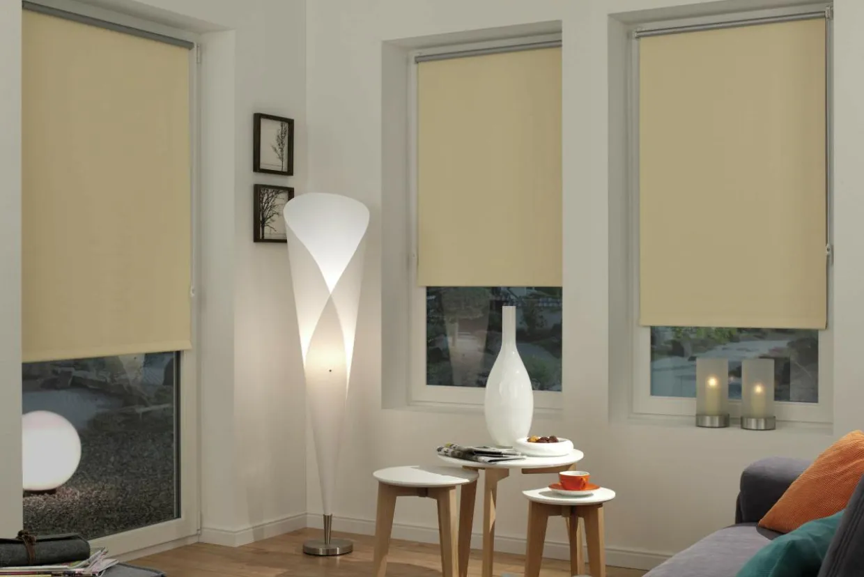 Roleta mini THERMO 68x215 cm