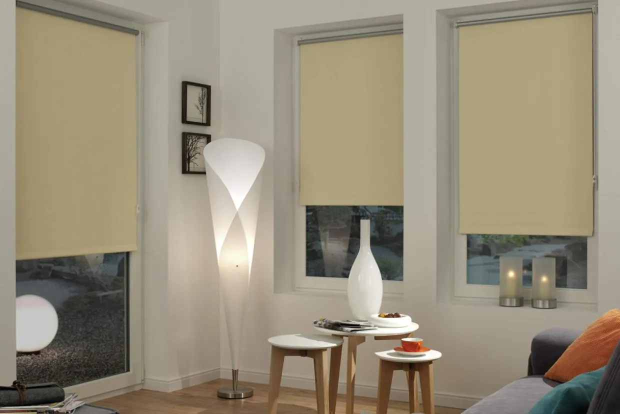 Roleta mini THERMO 57x150 cm
