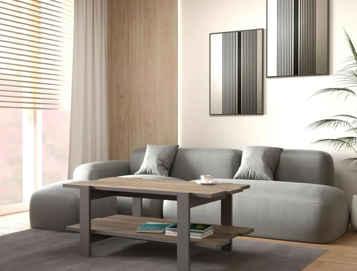 Stolik kawowy z półką COFFEE TABLES szary